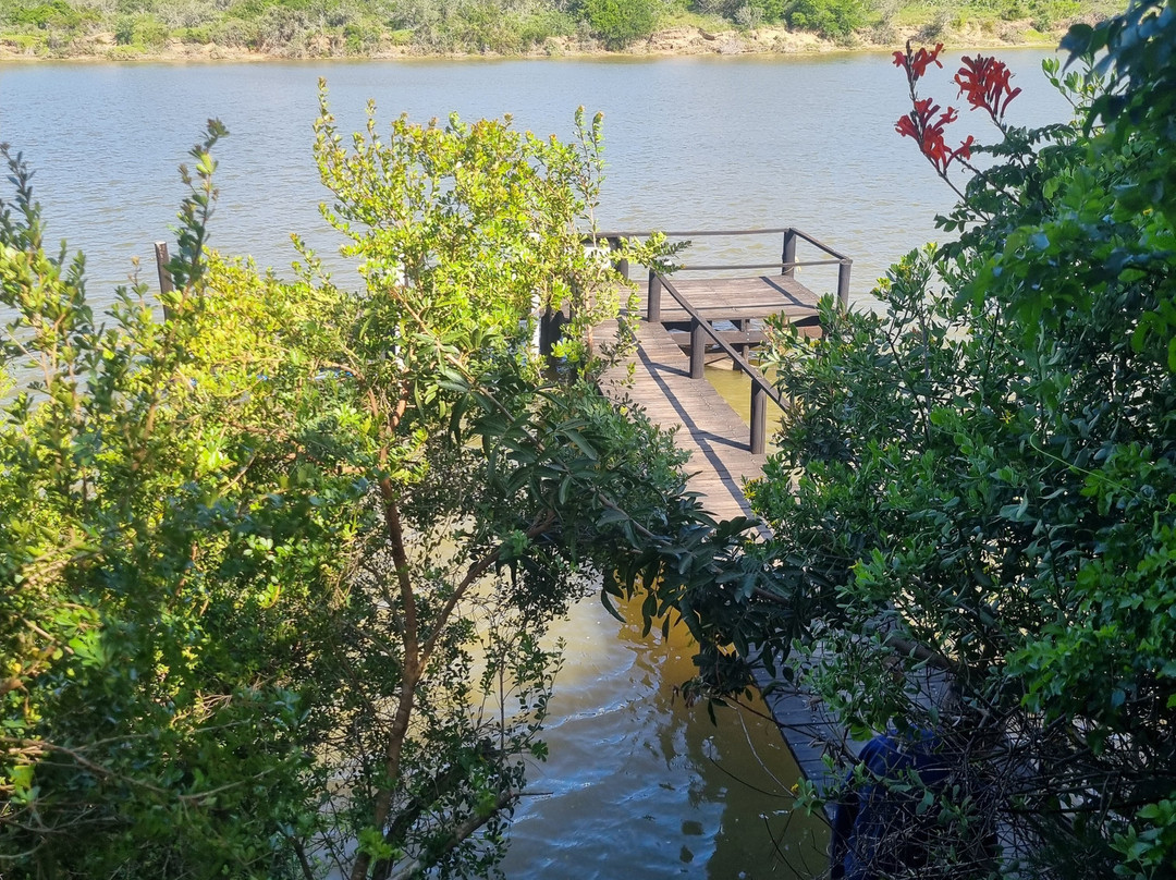 Dungbeetle River Lodge主图