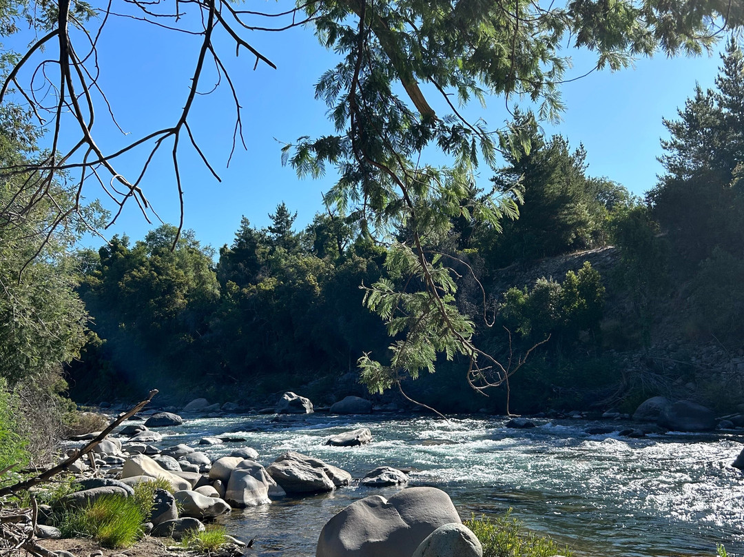 Refugio Silvestre