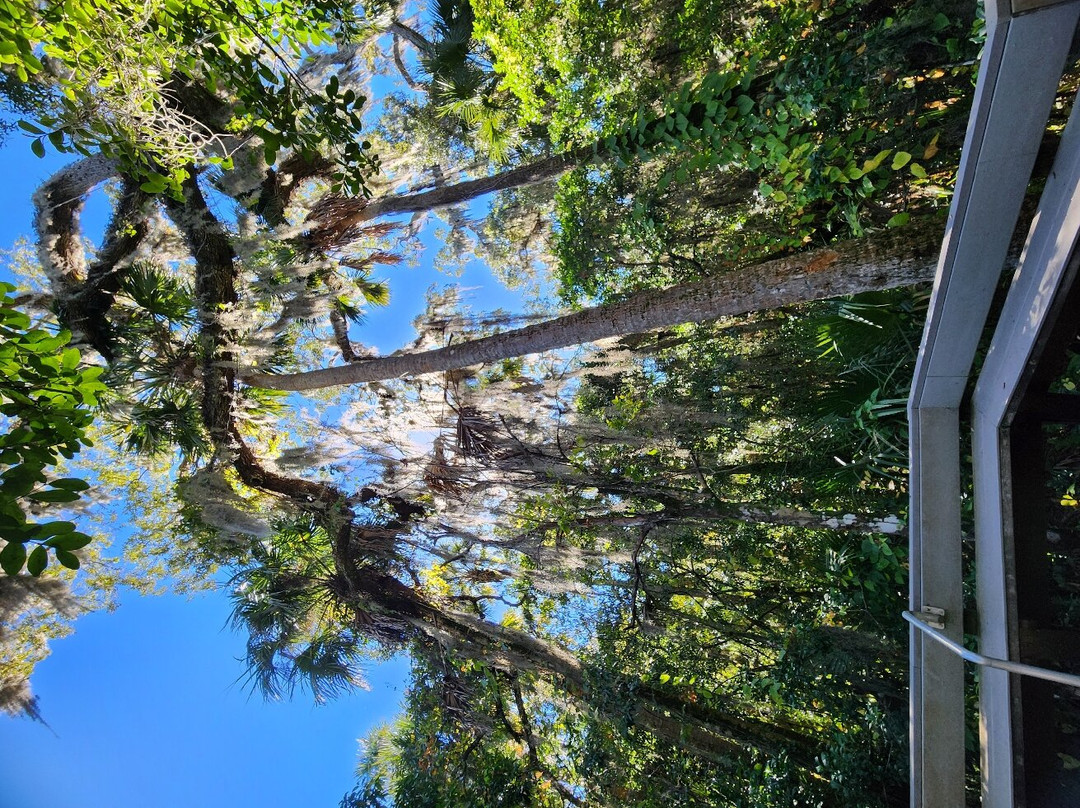 Brevard County Erna Nixon Park景点图片