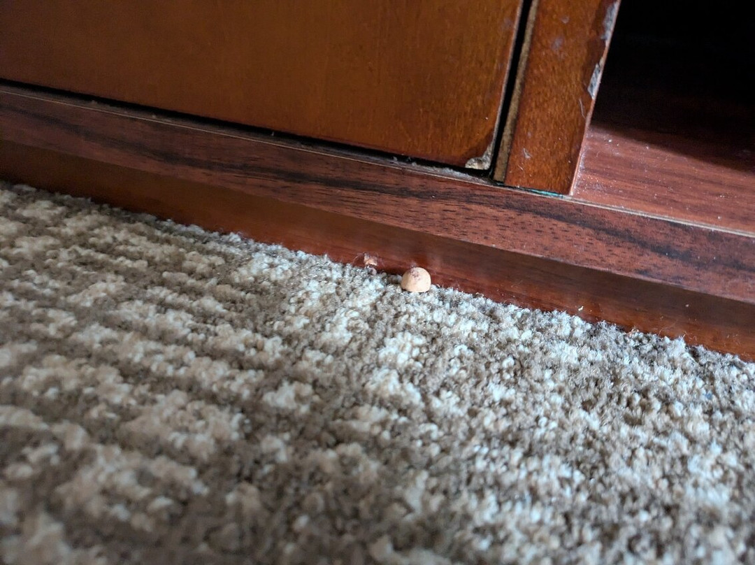 拉波特舒适酒店主图