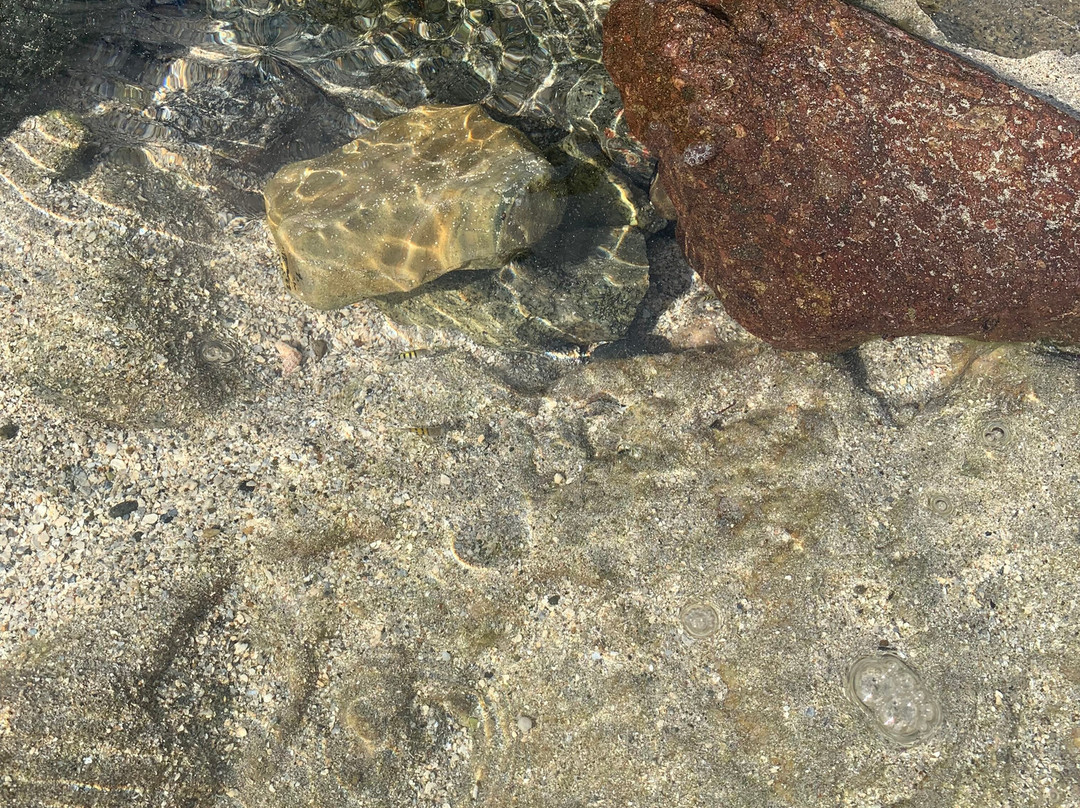 Divi Beach-Sint Maarten必去景点