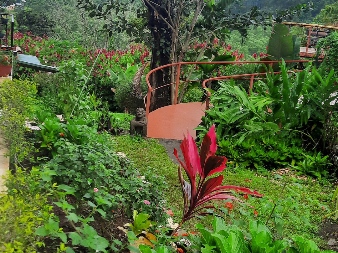 Vista Linda Montaña主图