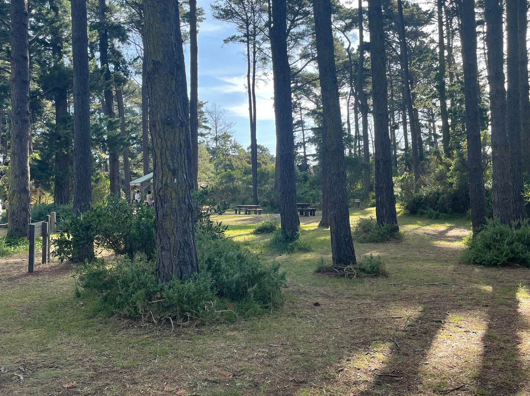 Fingal Picnic Area景点图片