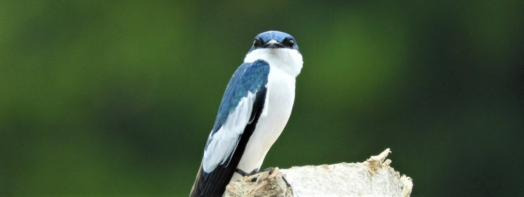 Amazon Tour-莱蒂西亚必去景点