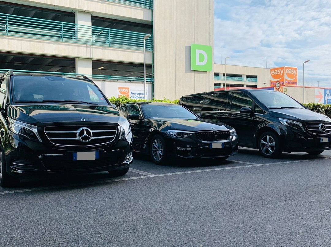 Kalamata Private Transfers & Limo Services: Airport, Cruise Port, Hotel Pickups-卡拉马塔必去景点