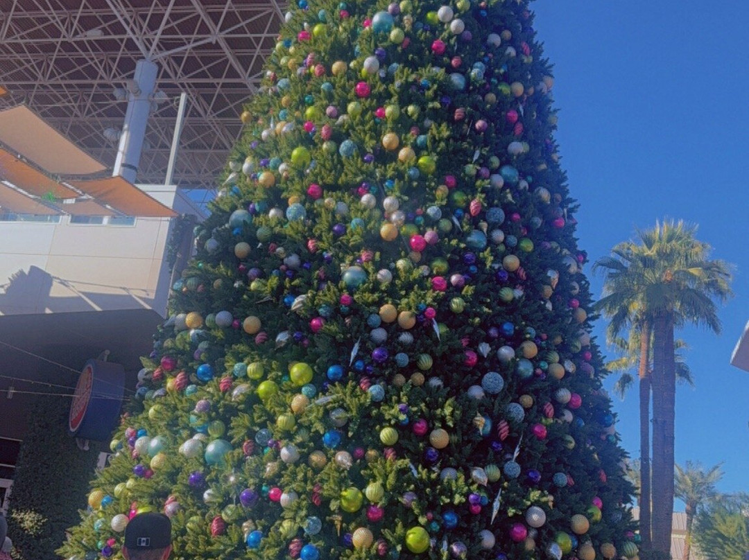 Tempe Marketplace-坦佩必去景点