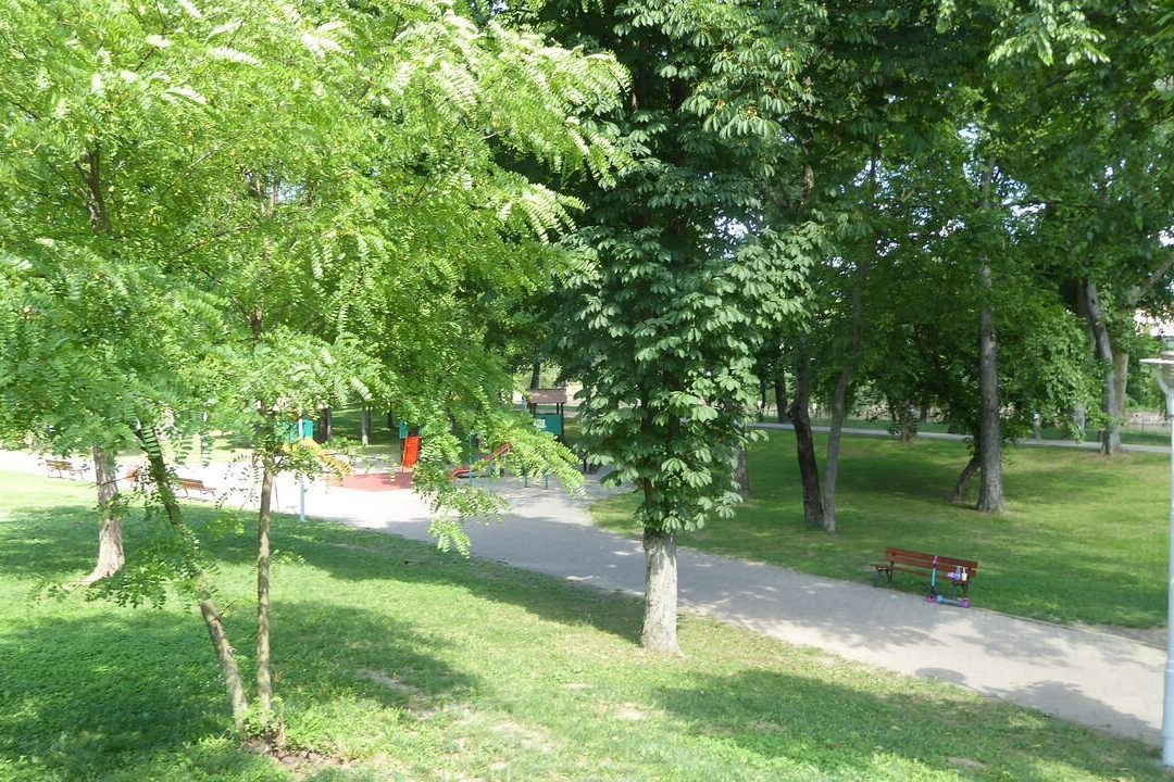 Parcul Copiilor景点图片