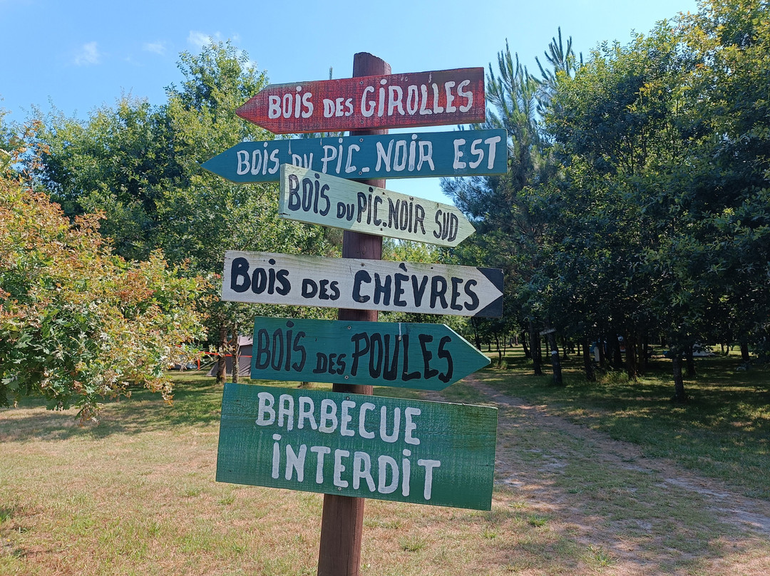 Les gîtes du Domaine du Cayre