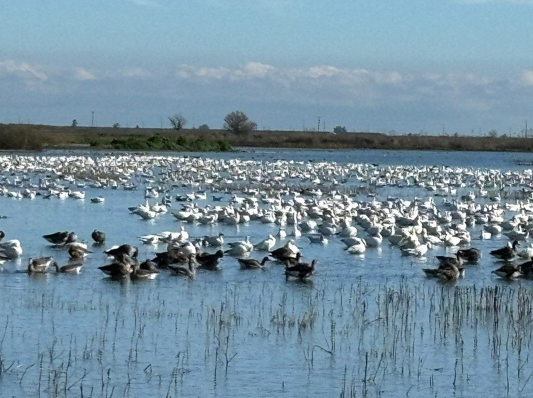 默塞德国家野生动物保护区-默塞德必去景点