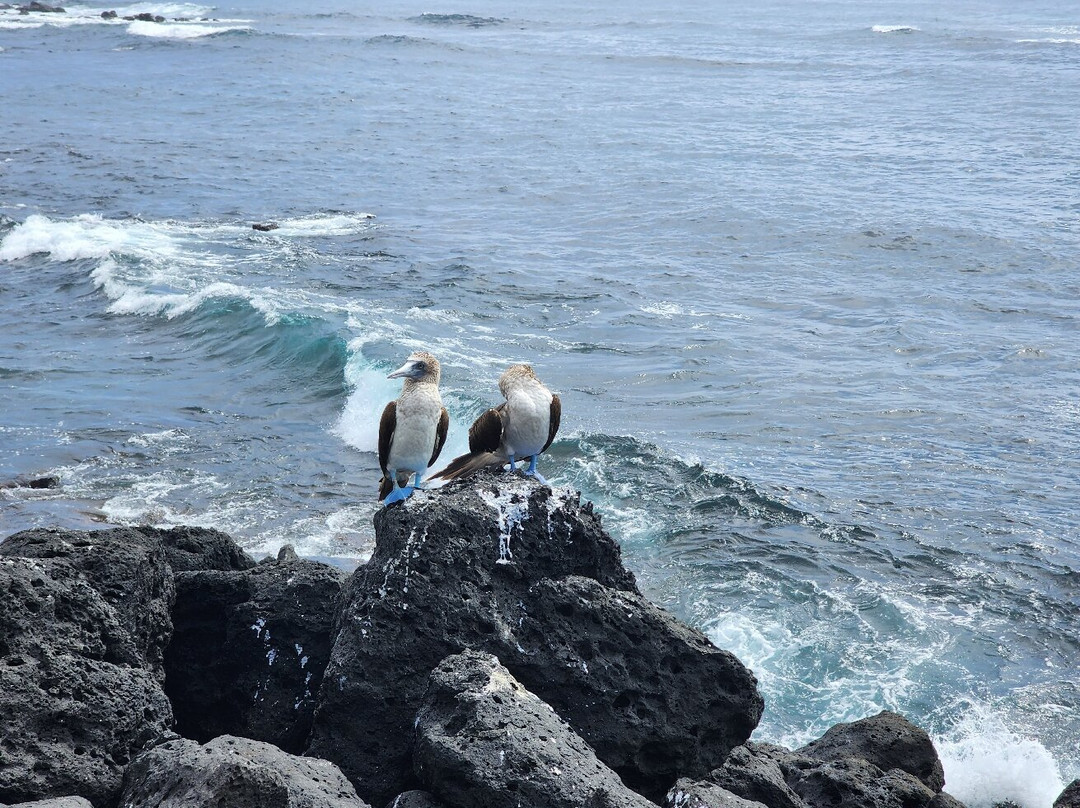 Galapagos Path景点图片