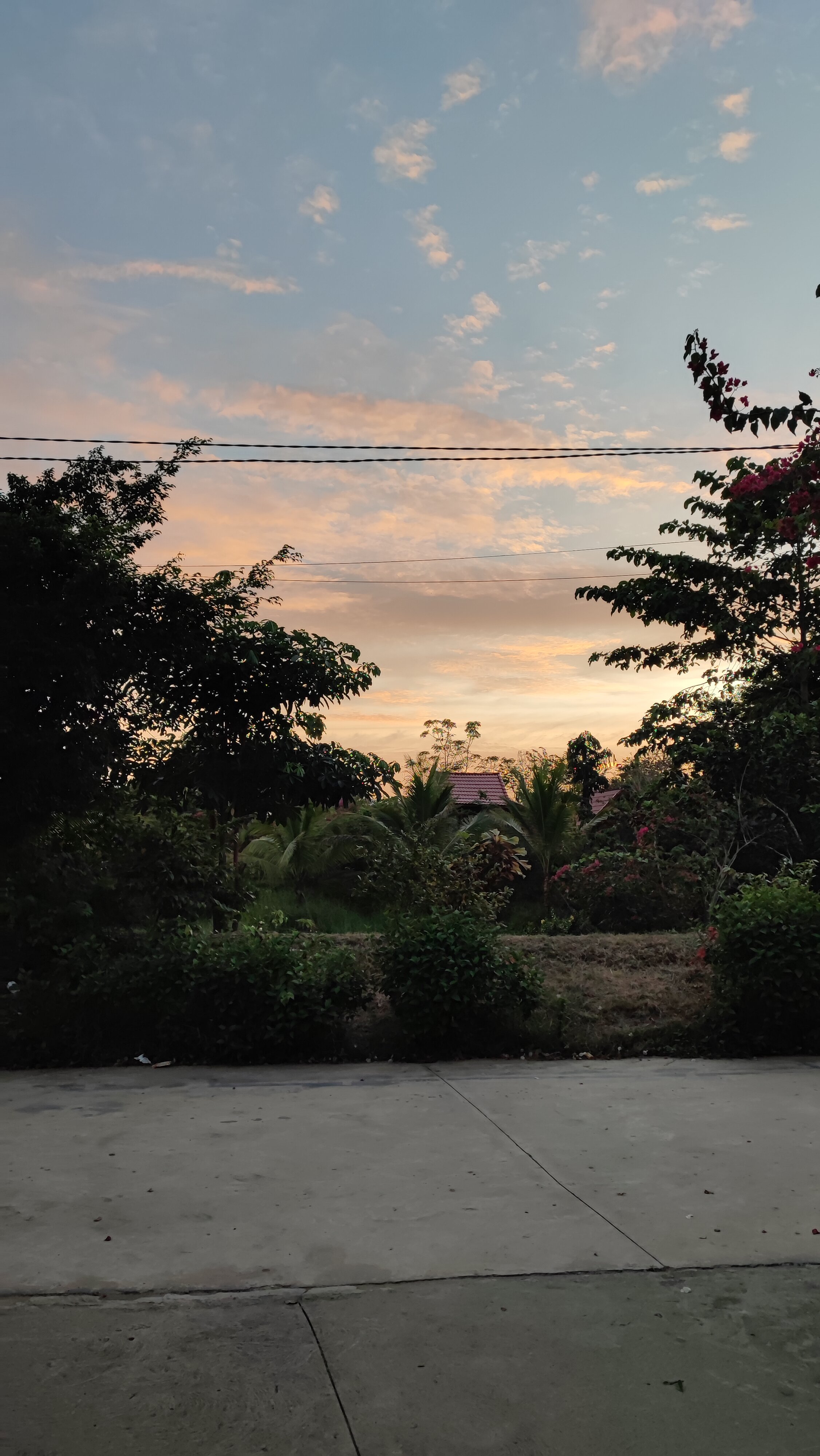 Sunny Eco Lodge-官方