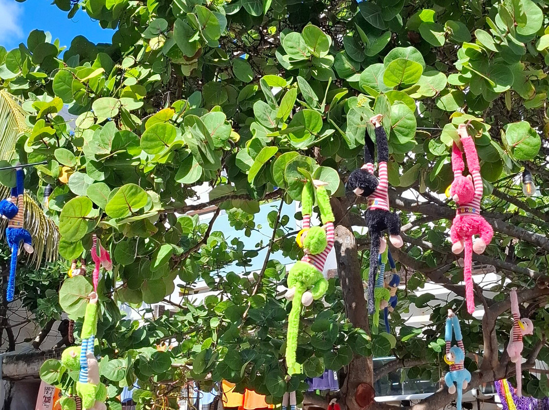 Oddities and Wall Art Isla Mujeres-女人岛必去景点