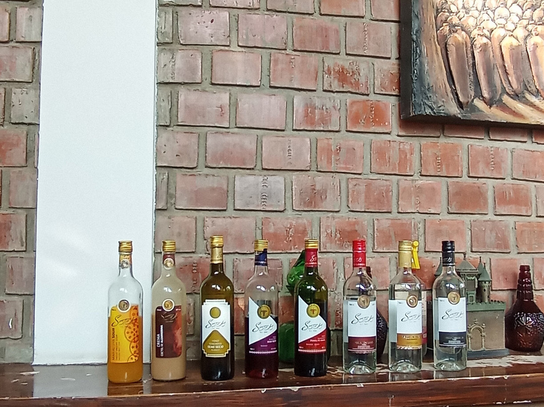 Bodega Y Viñedo Sotelo-伊卡必去景点