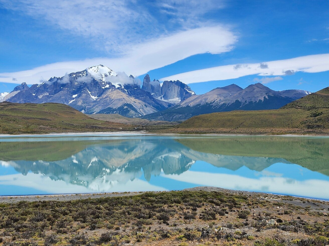Torres Del Paine-纳塔莱斯港必去景点