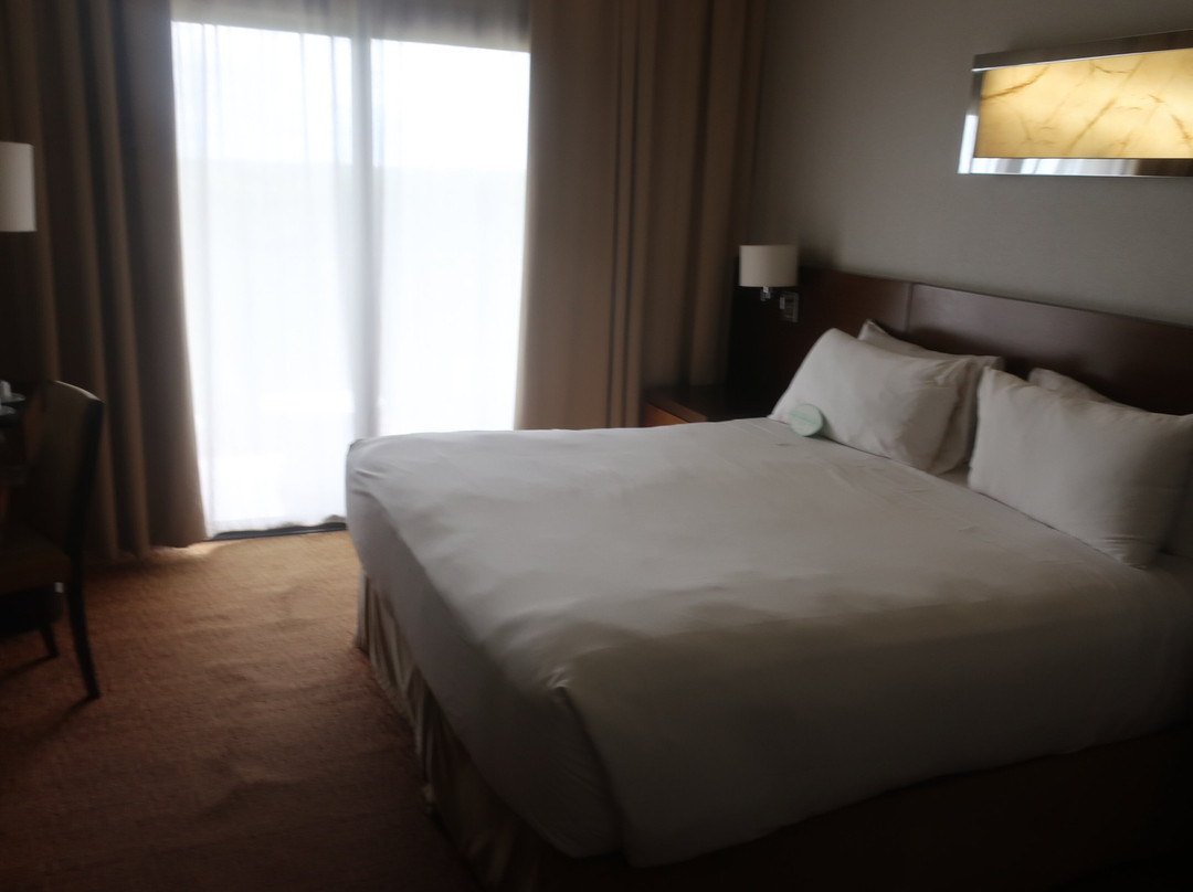 伊瓜苏全景酒店主图