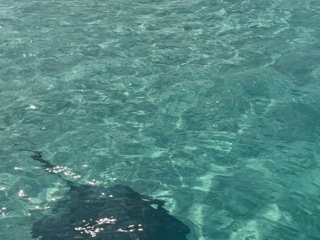 Caymanvibeswatersports-Bodden Town必去景点
