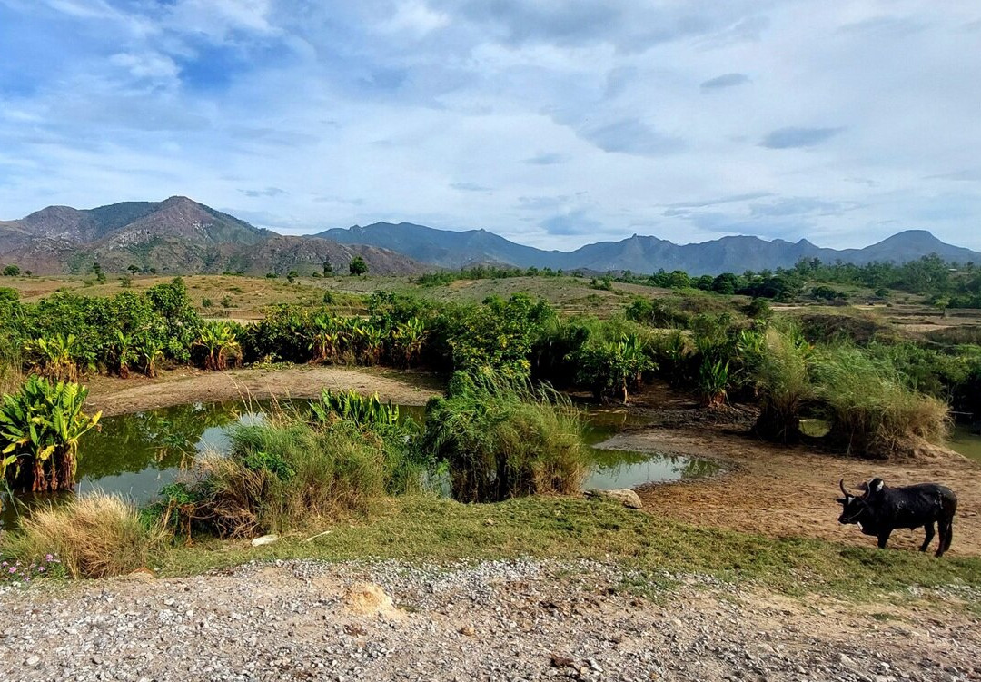 Arboretum of Ranopiso景点图片