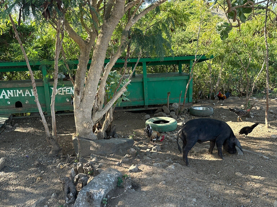 Cole Bay Hill-菲利普斯堡必去景点