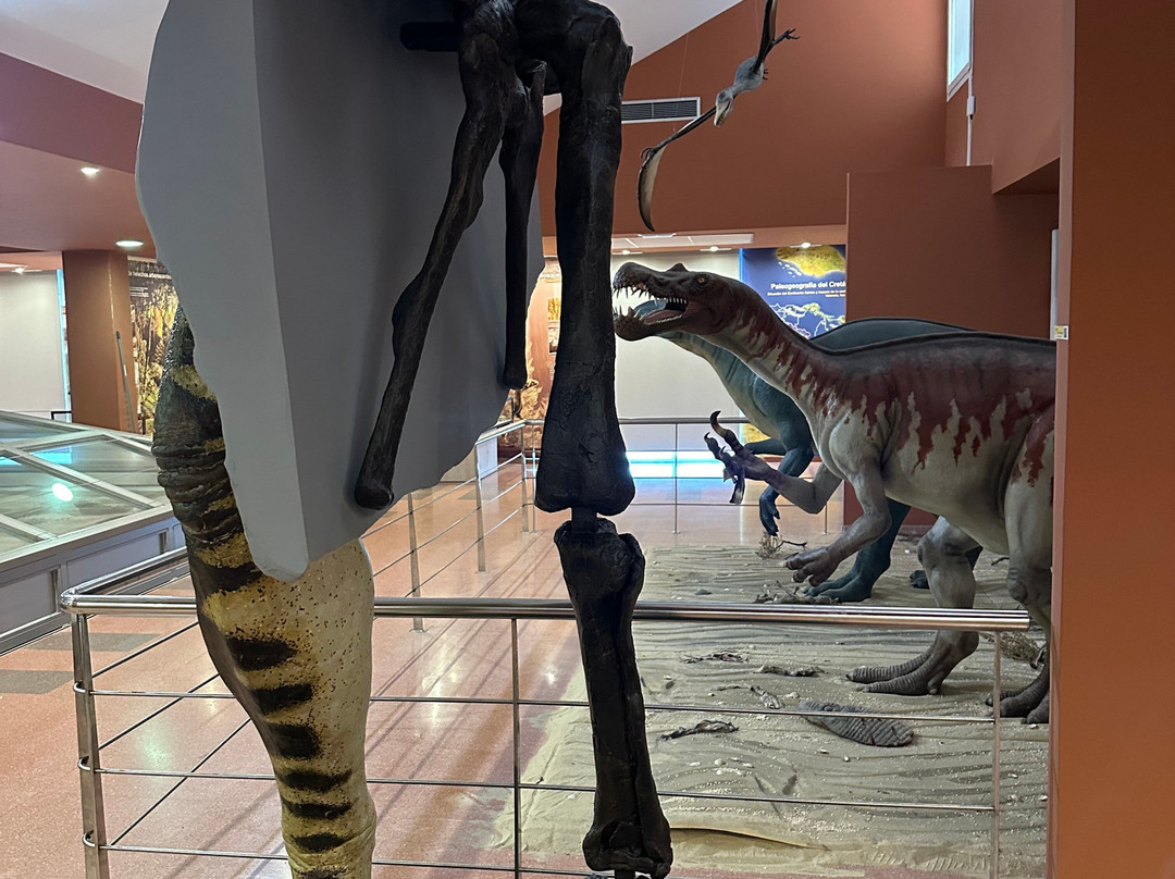 Centro de Interpretacion Paleontologica de La Rioja景点图片