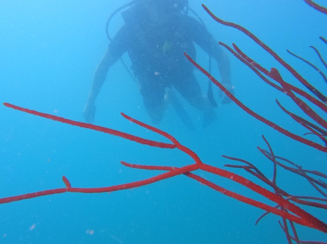 Koh Rong Dive Center-高龙必去景点