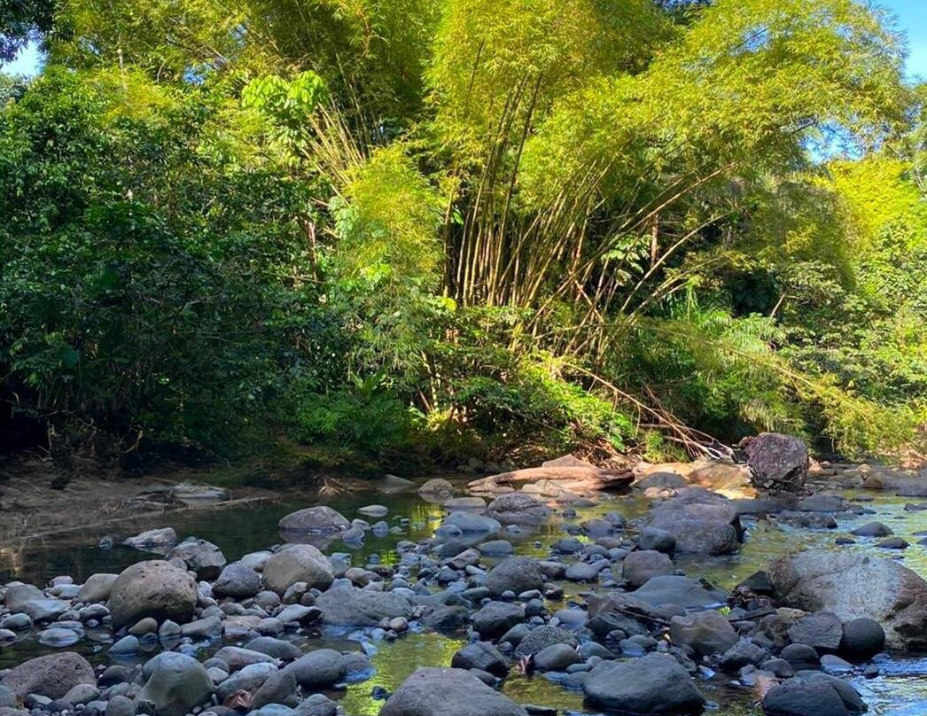 Ds Cars Rental-Les Abymes必去景点