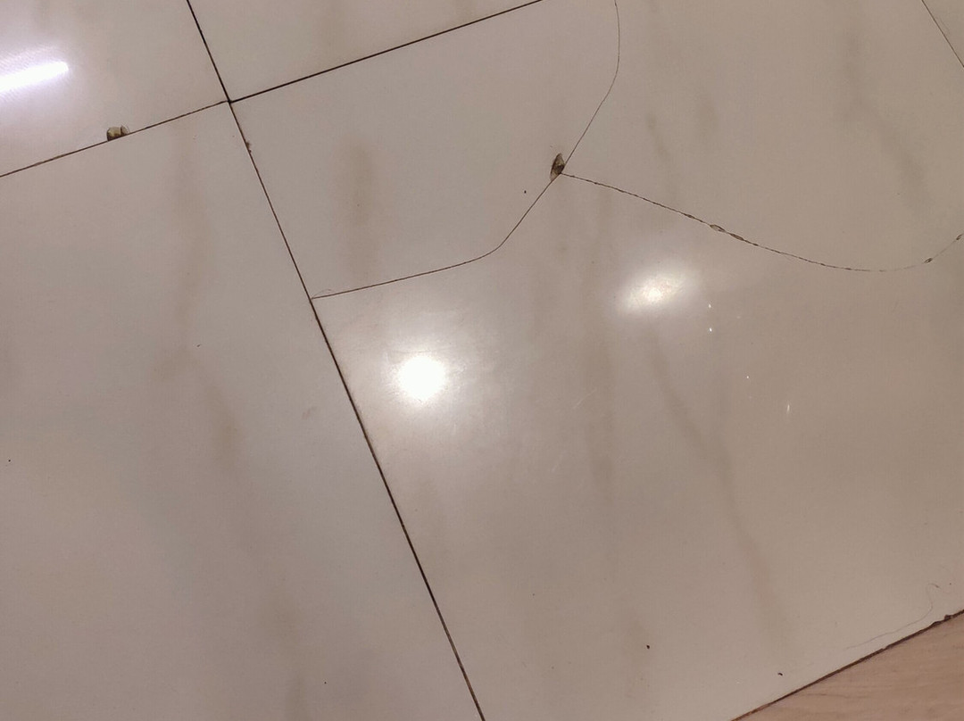 Hotel Sheela Towers主图