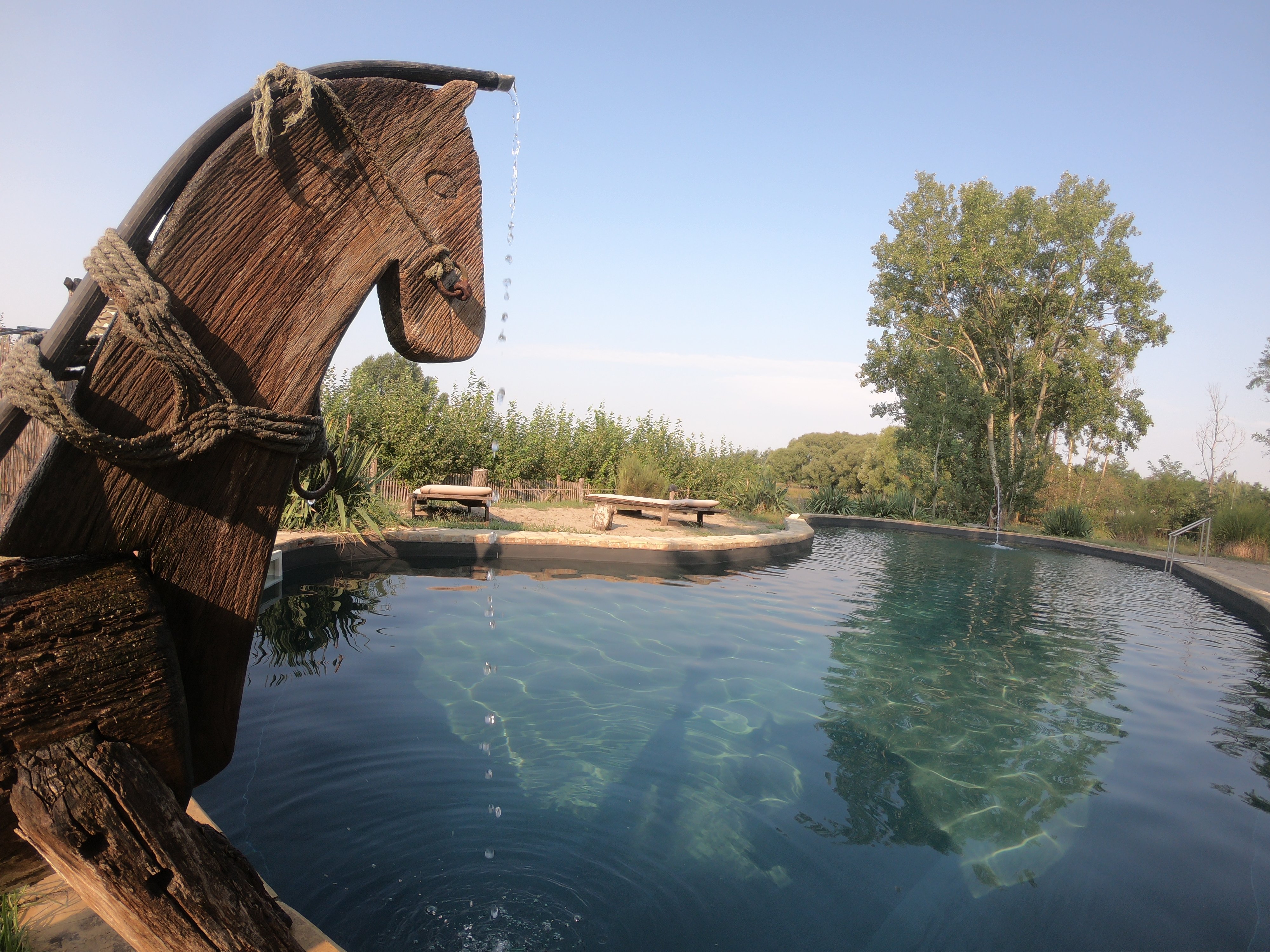 Homoki Lodge - Bed & Beyond Glamping-泳池
