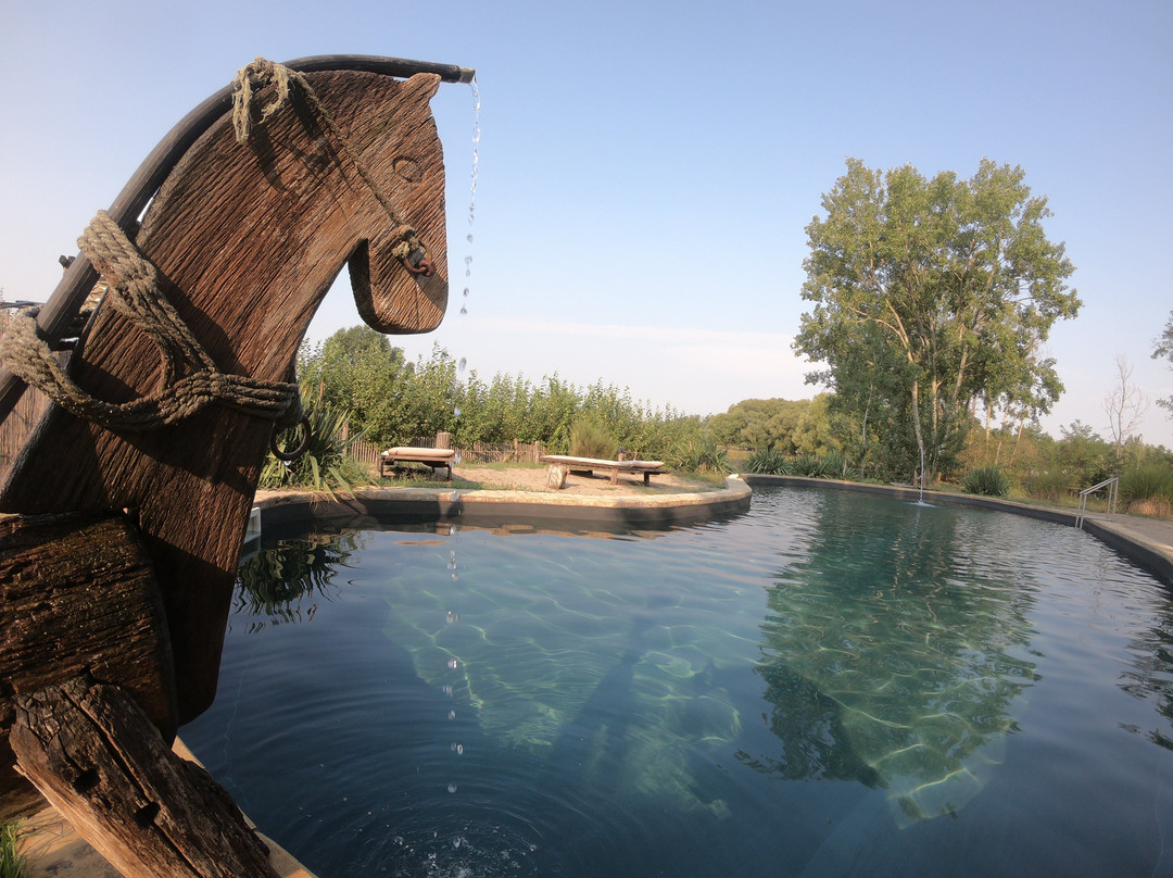 Homoki Lodge - Bed & Beyond Glamping主图