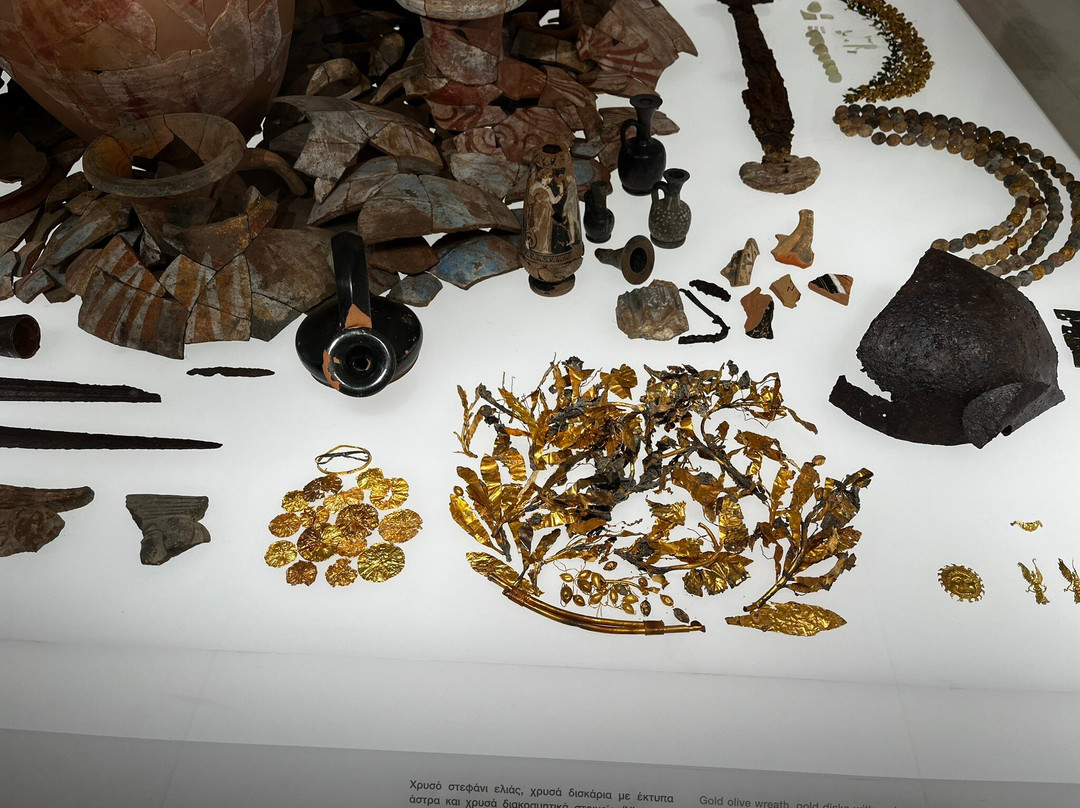 Polycentric Museum of Aigai景点图片