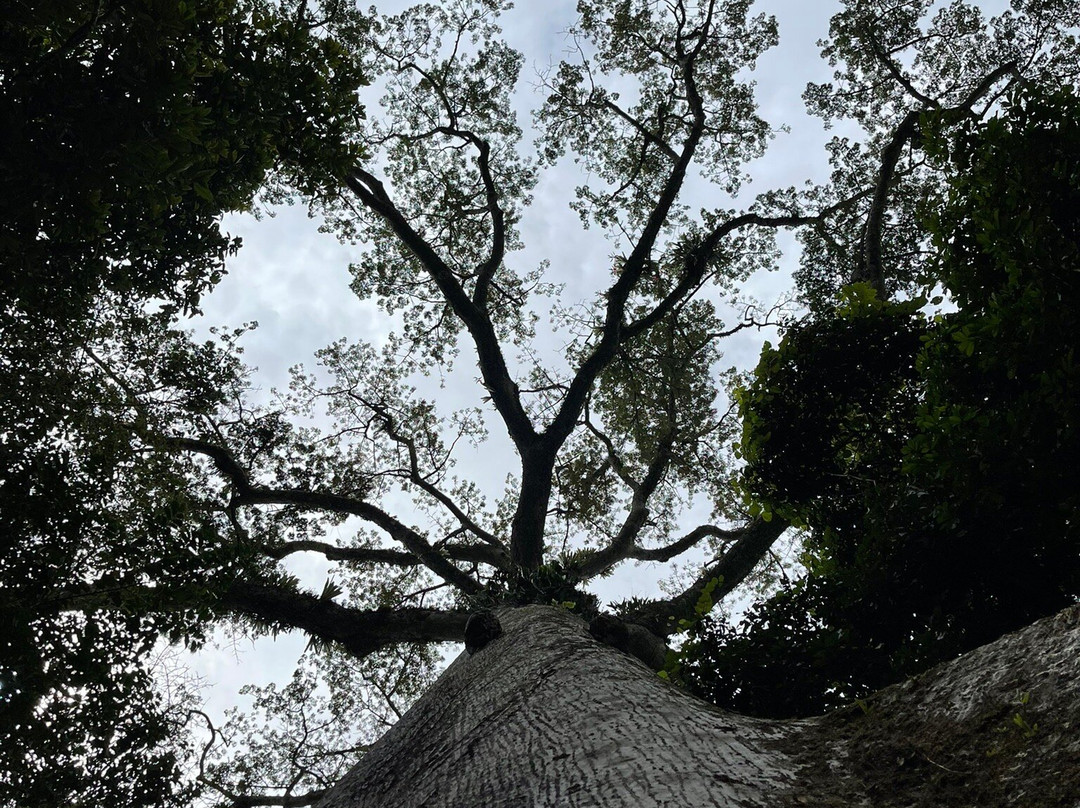 Amazon Guide David Rios-伊基托斯必去景点