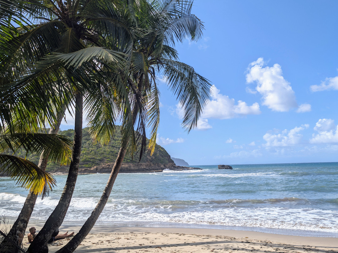 Batibou Beach-Hampstead必去景点