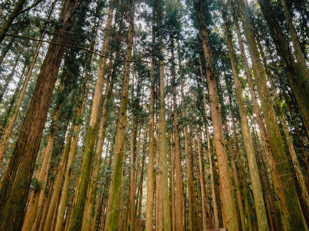 Jogyesan Mountain-顺天市必去景点