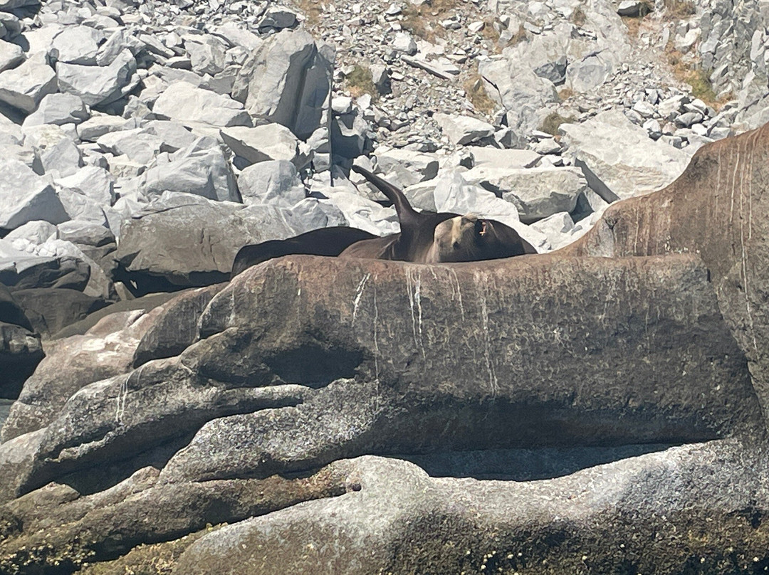 Cabo Pulmo Eco Adventures-Cabo Pulmo必去景点