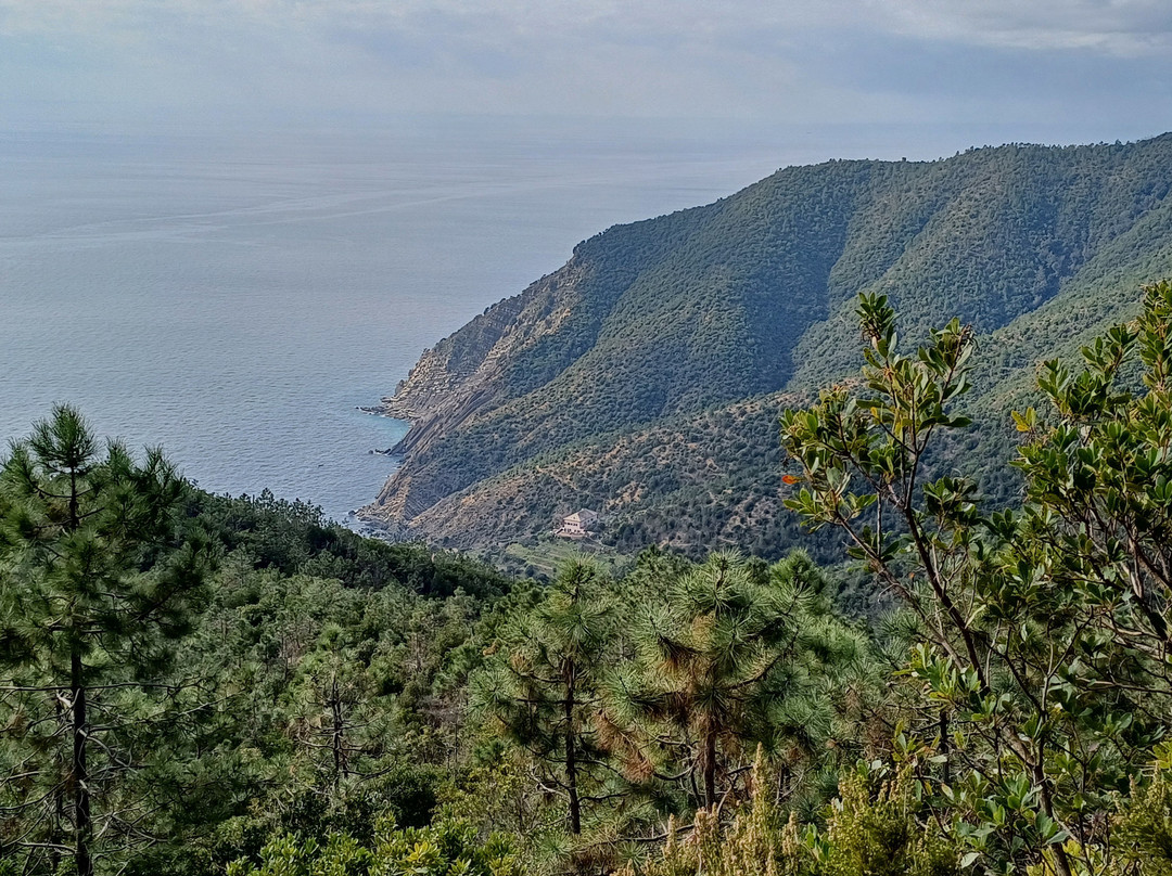 Il sentiero da Riva Trigoso a Moneglia景点图片