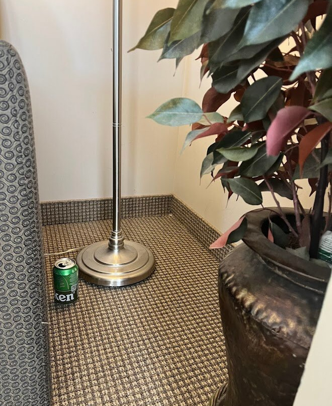 Hotel Le Versailles主图