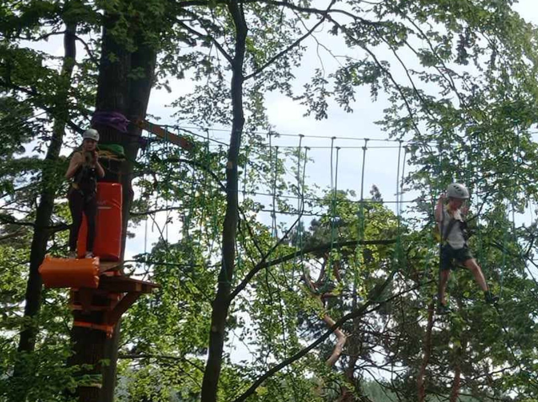 Park Linowy Kudowa-Kudowa-Zdroj必去景点