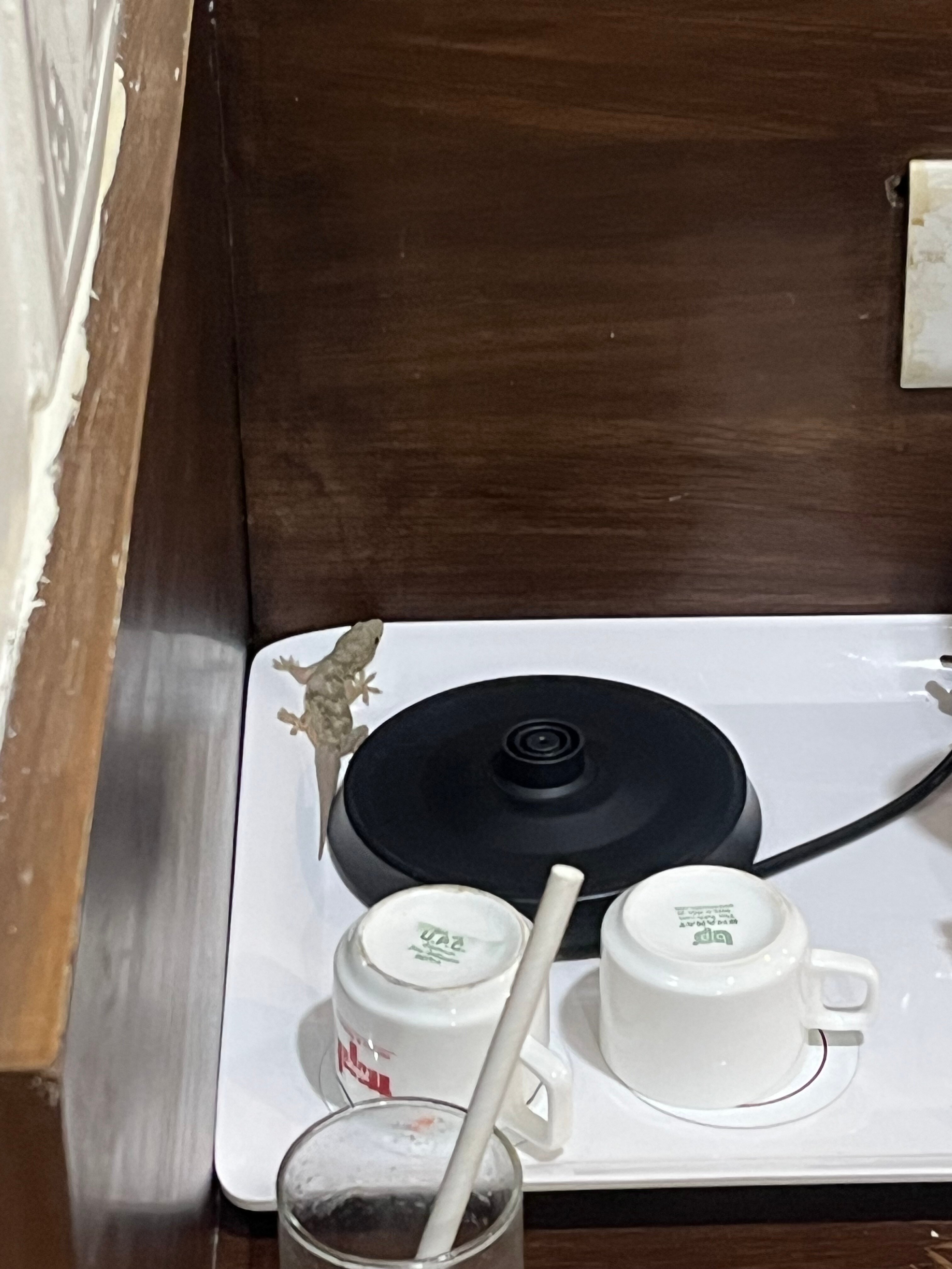 MPT Palash Residency, Bhopal-官方