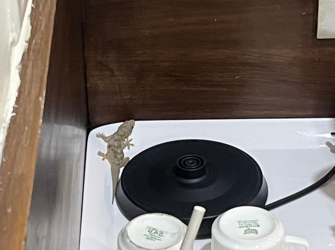 MPT Palash Residency, Bhopal主图