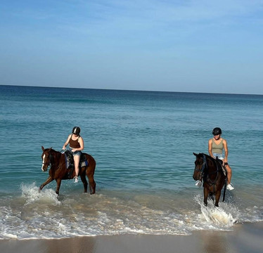 Five Gaits Equestrian Center-布里奇顿必去景点