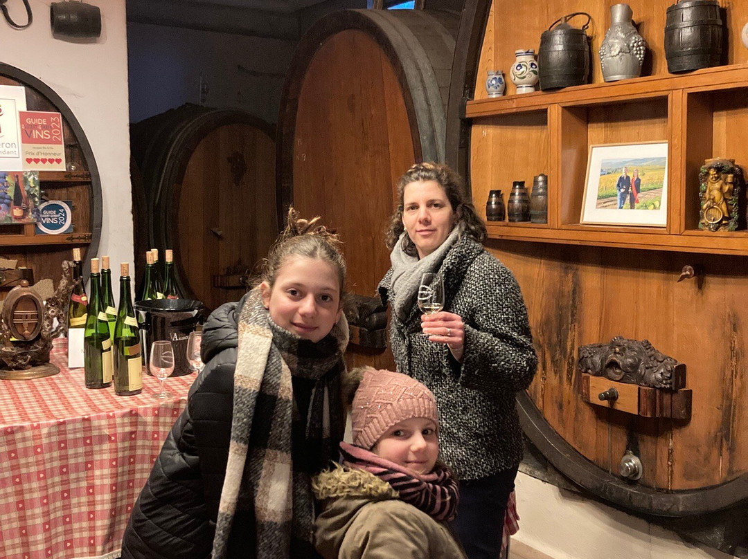 Domaine Jacques Iltis & Fils景点图片