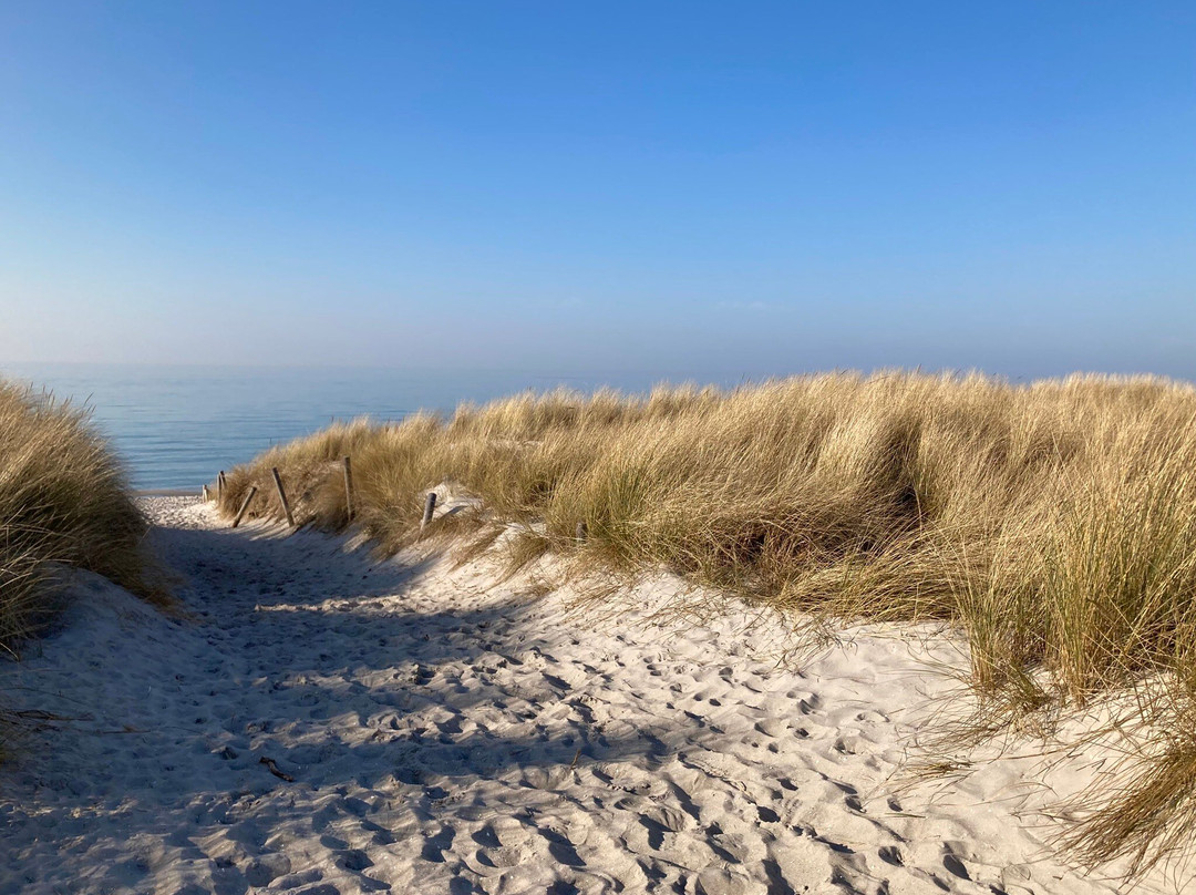 Hotel Meerlust主图