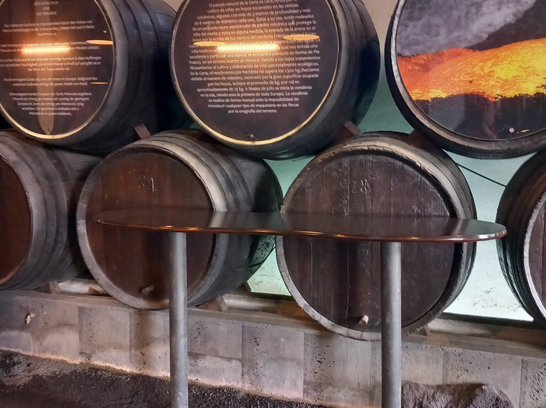 Bodega La Geria景点图片