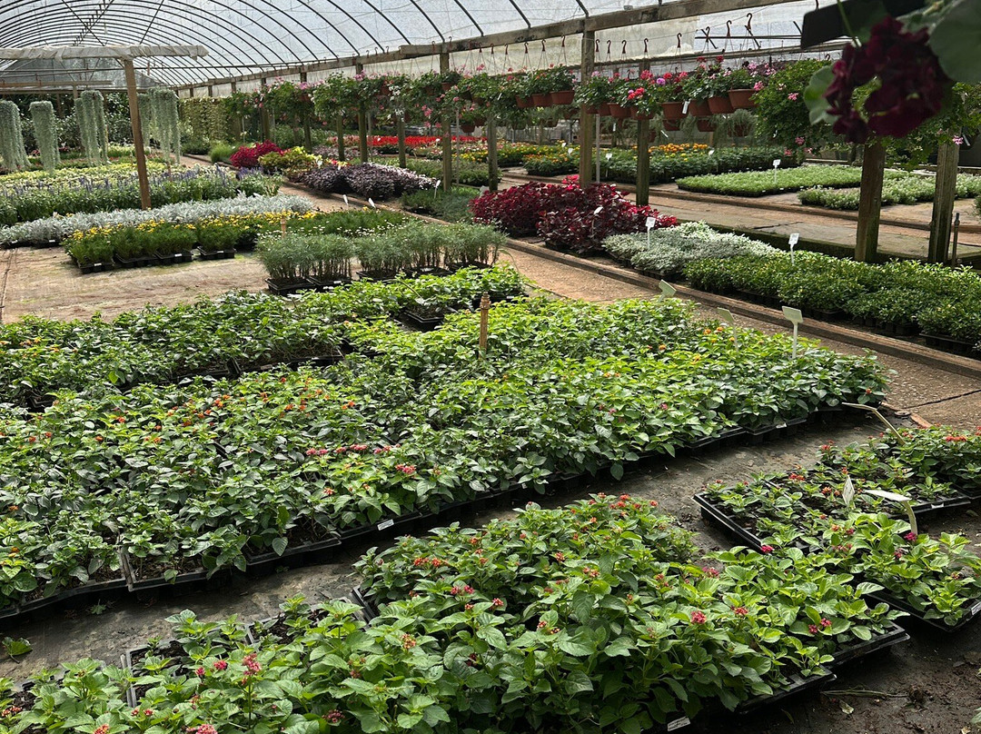 Floricultura Úrsula-Nova Petropolis必去景点