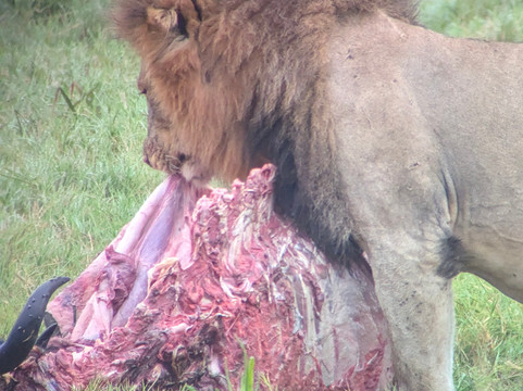 Wilson Tours Africa-吉佳利必去景点