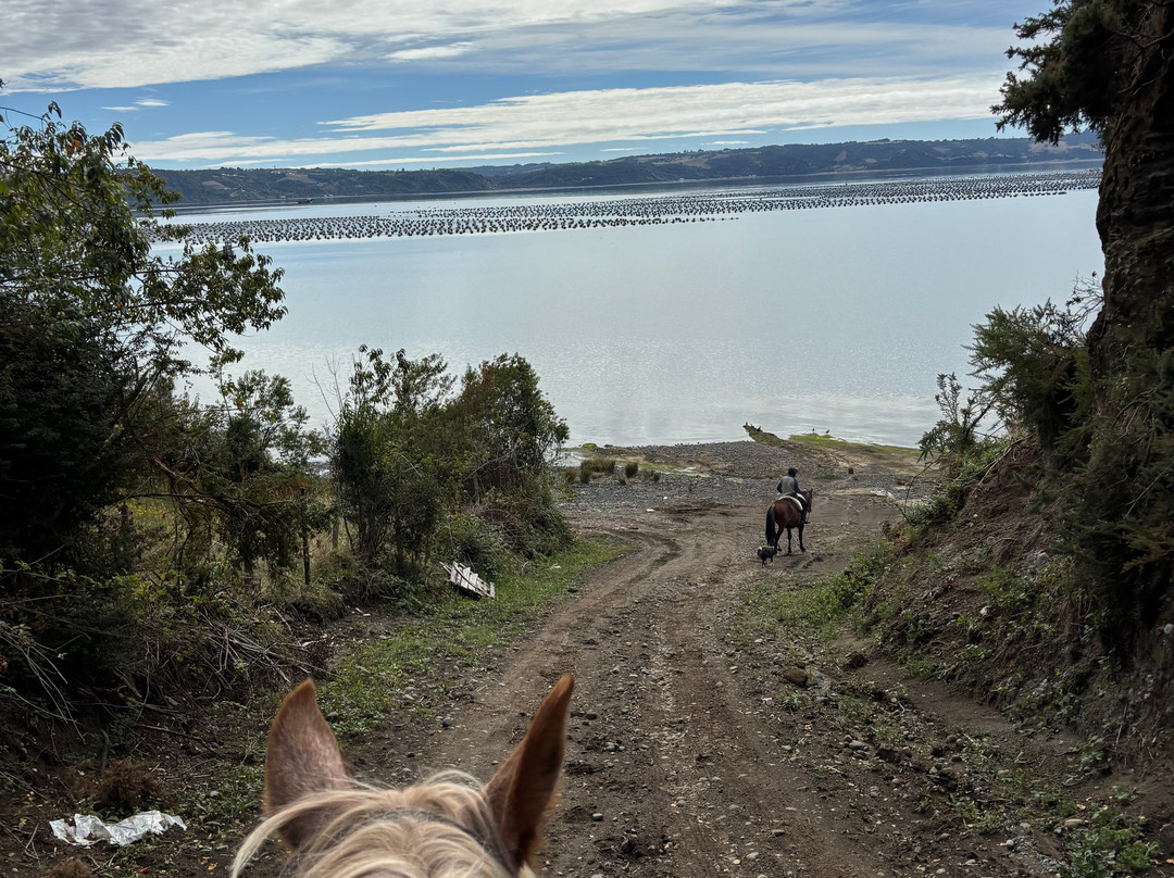 Rancho Pullao-Castro必去景点
