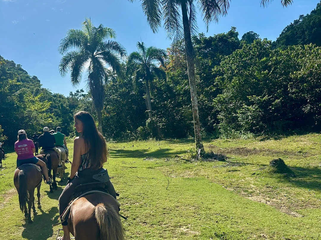 Rancho el Contento ( Cabarete )-Veragua必去景点