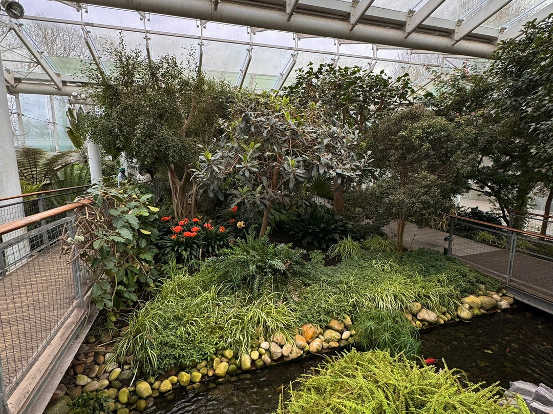 Jephson Gardens景点图片