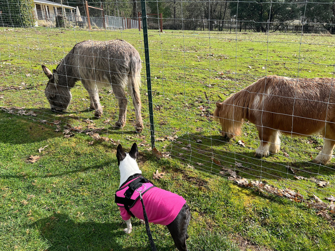 La Quinta Inn & Suites by Wyndham Grants Pass主图