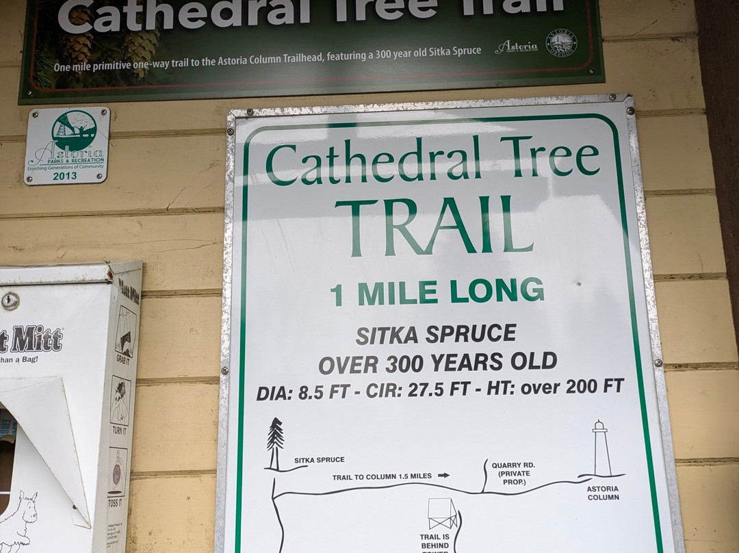 Cathedral Tree Trail-阿斯托里亚必去景点