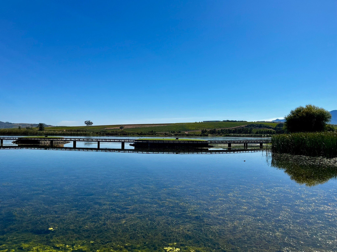 Steenberg Golf Club-Tokai必去景点